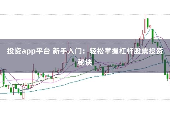 投资app平台 新手入门：轻松掌握杠杆股票投资秘诀