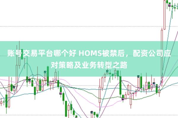 账号交易平台哪个好 HOMS被禁后，配资公司应对策略及业务转型之路