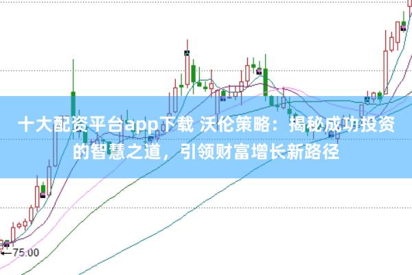 十大配资平台app下载 沃伦策略：揭秘成功投资的智慧之道，引领财富增长新路径